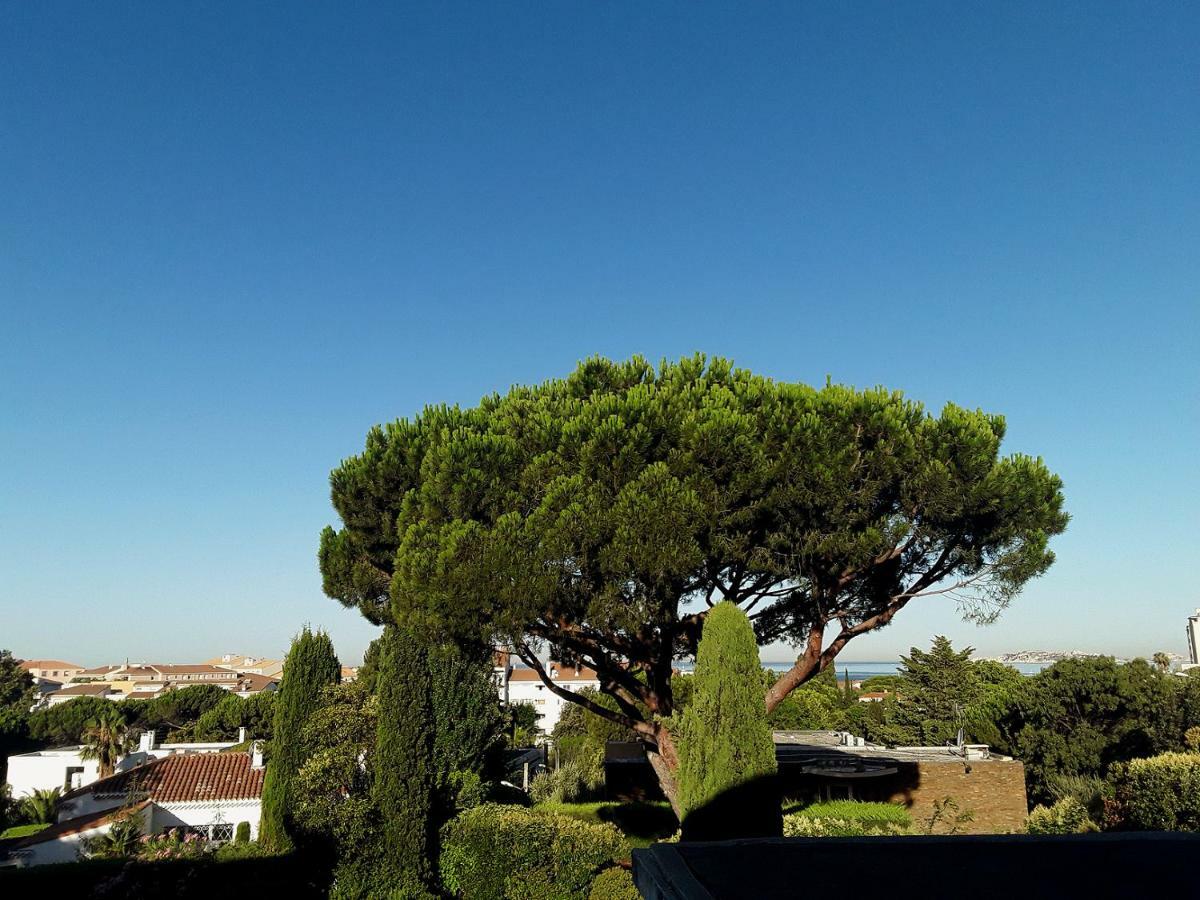 Marveyre * Marseille