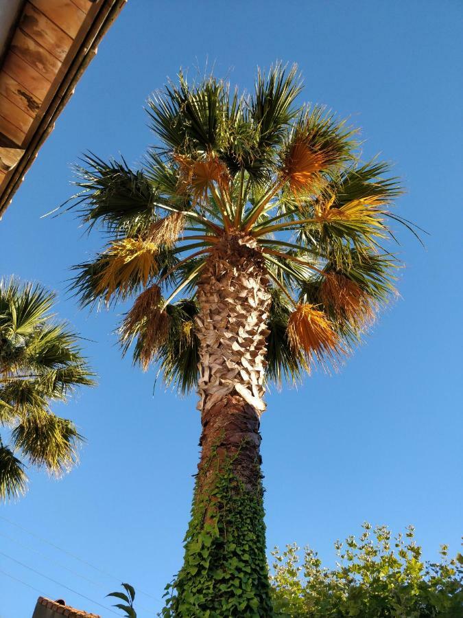 La Palmeraie 5*
