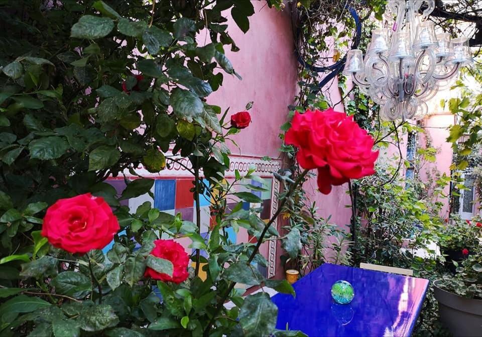Vieux Port Panier Jardin Guest house