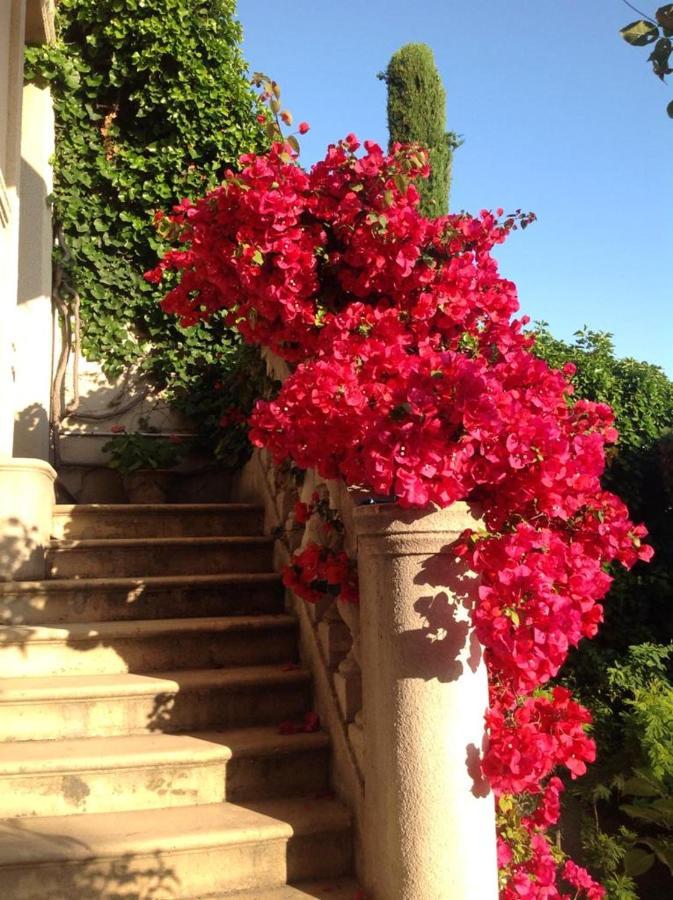 Montee De La Rotonde Villa *
