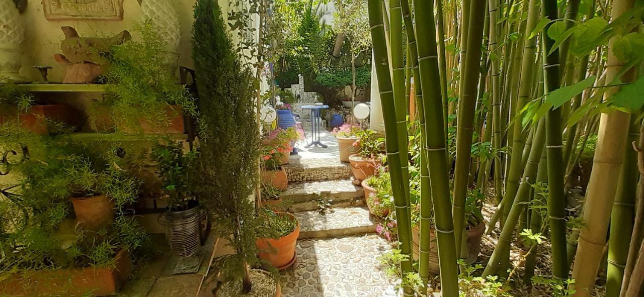 Maison Et Terrasse Dans Le Jardin Du Chateau De Gaillard *