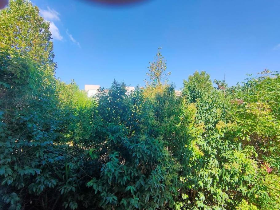 Au Pied Des Calanques, Nature, Plages A 6min, Parking, Bus Direct, Ideal Famille * Marseille