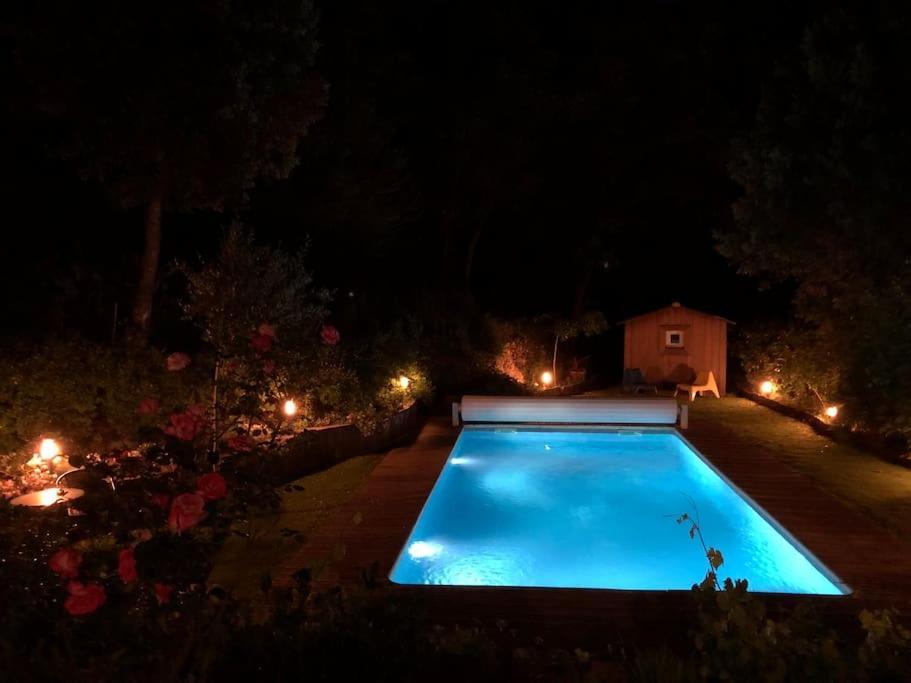 Magnificent House With Pool And Garden *