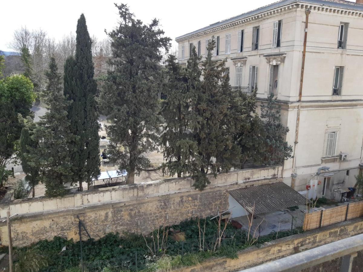 Bed & Breakfast La Colocation Du Parc Longchamp *