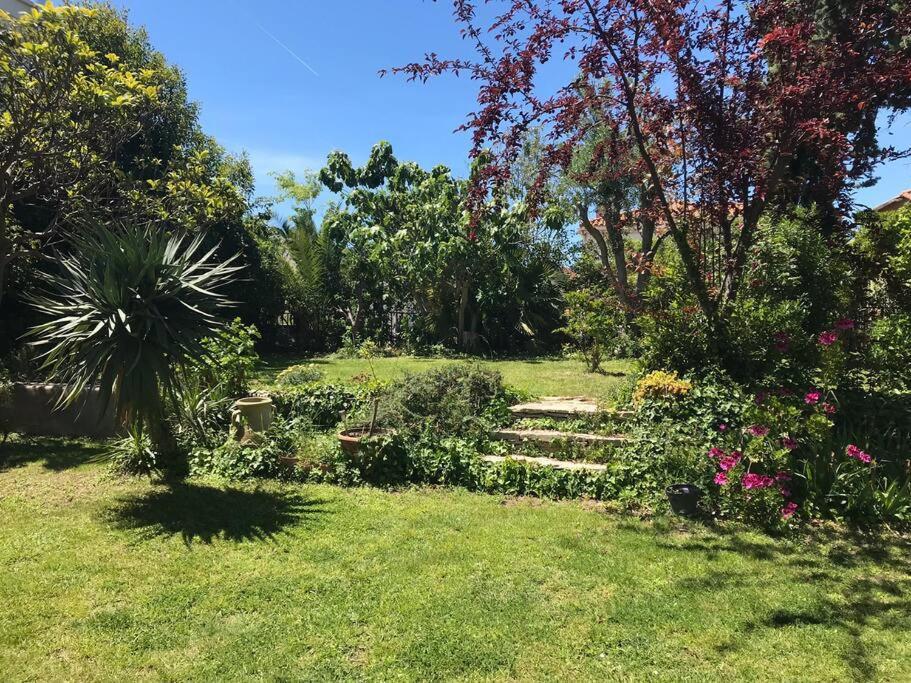 Calme Grand Jardin Bord De Mer. Parking Villa *