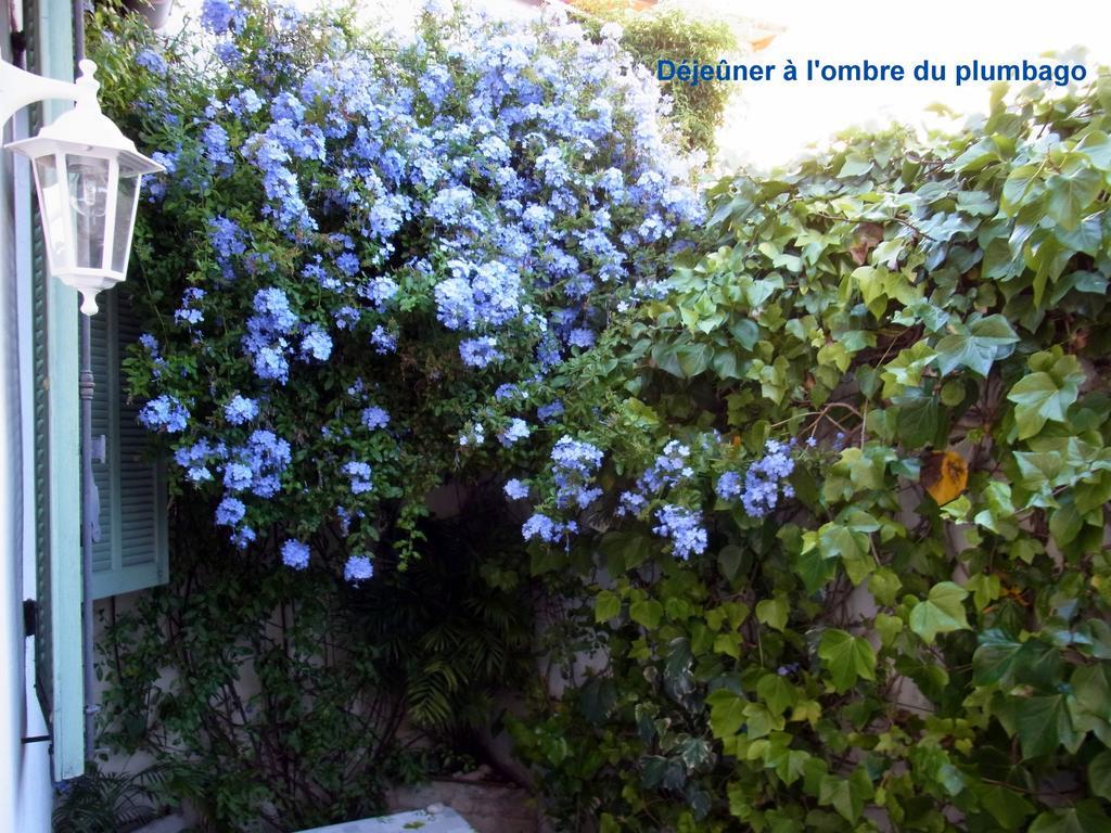 Typique Maison De Pecheurs