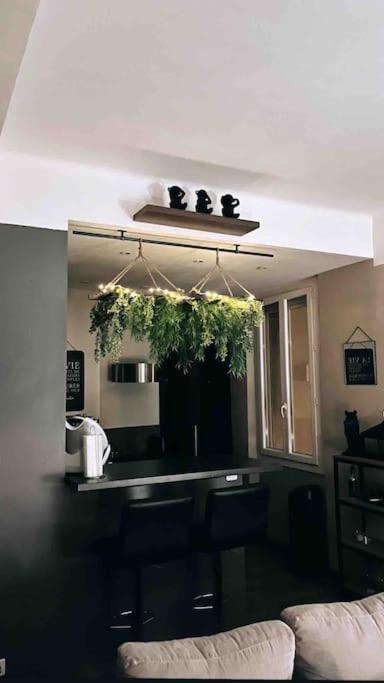 Le Petit Endoume Appartement Marseilles