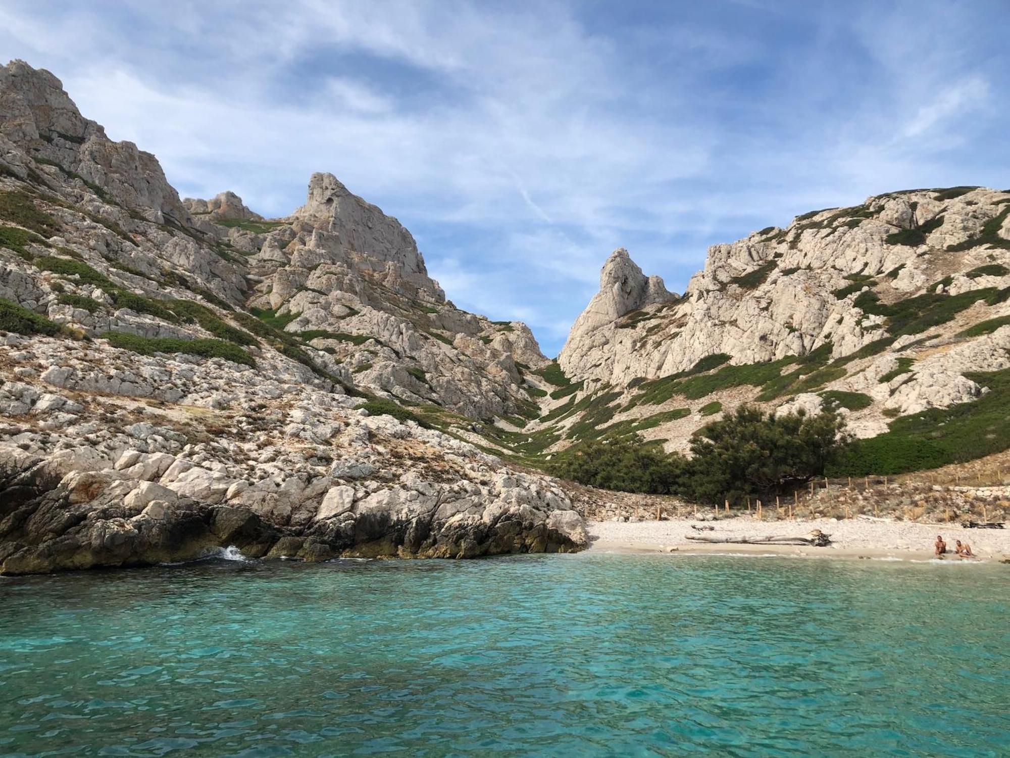 Grand Cedre Marseille
