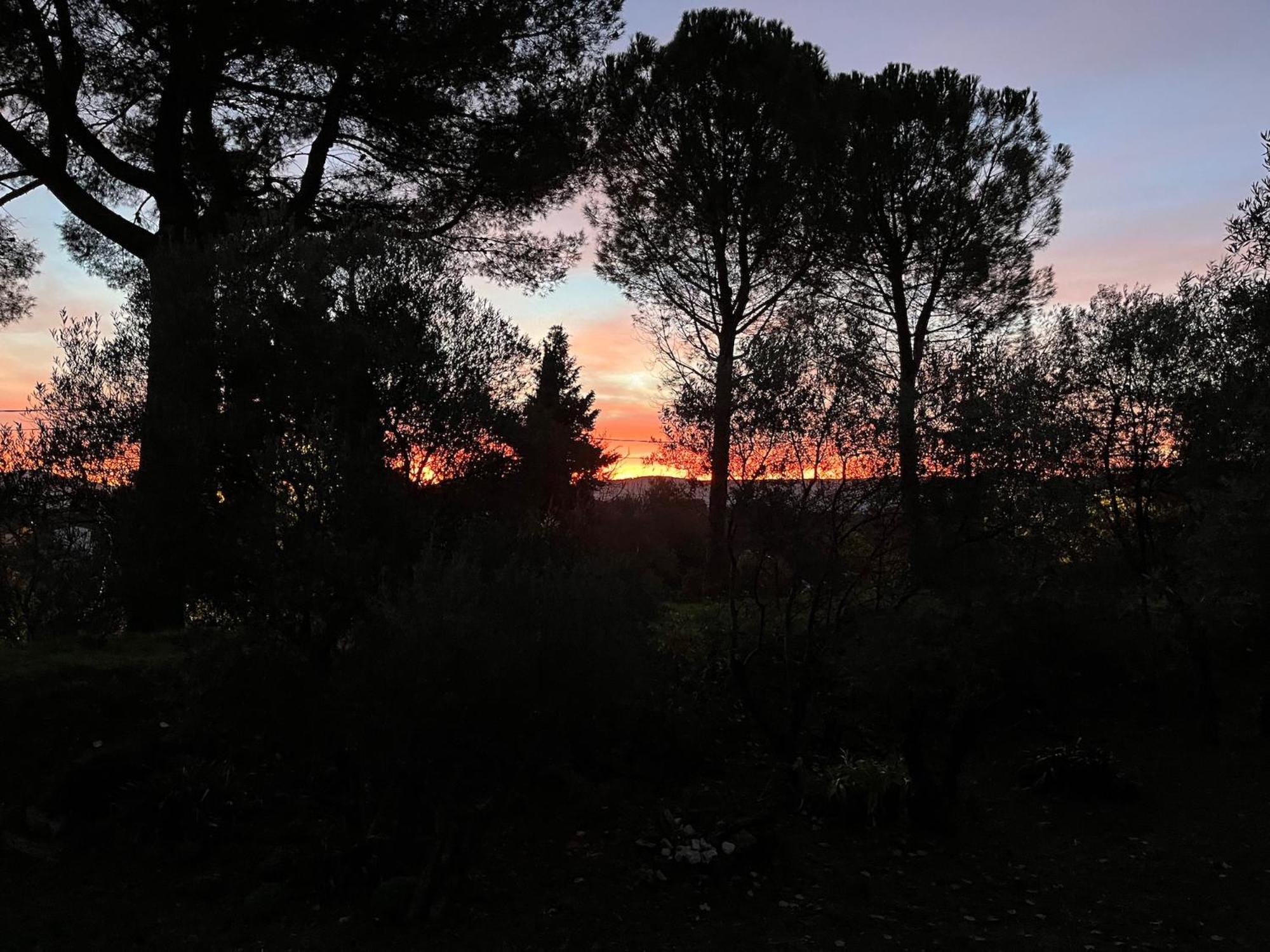 Grand Cedre Villa