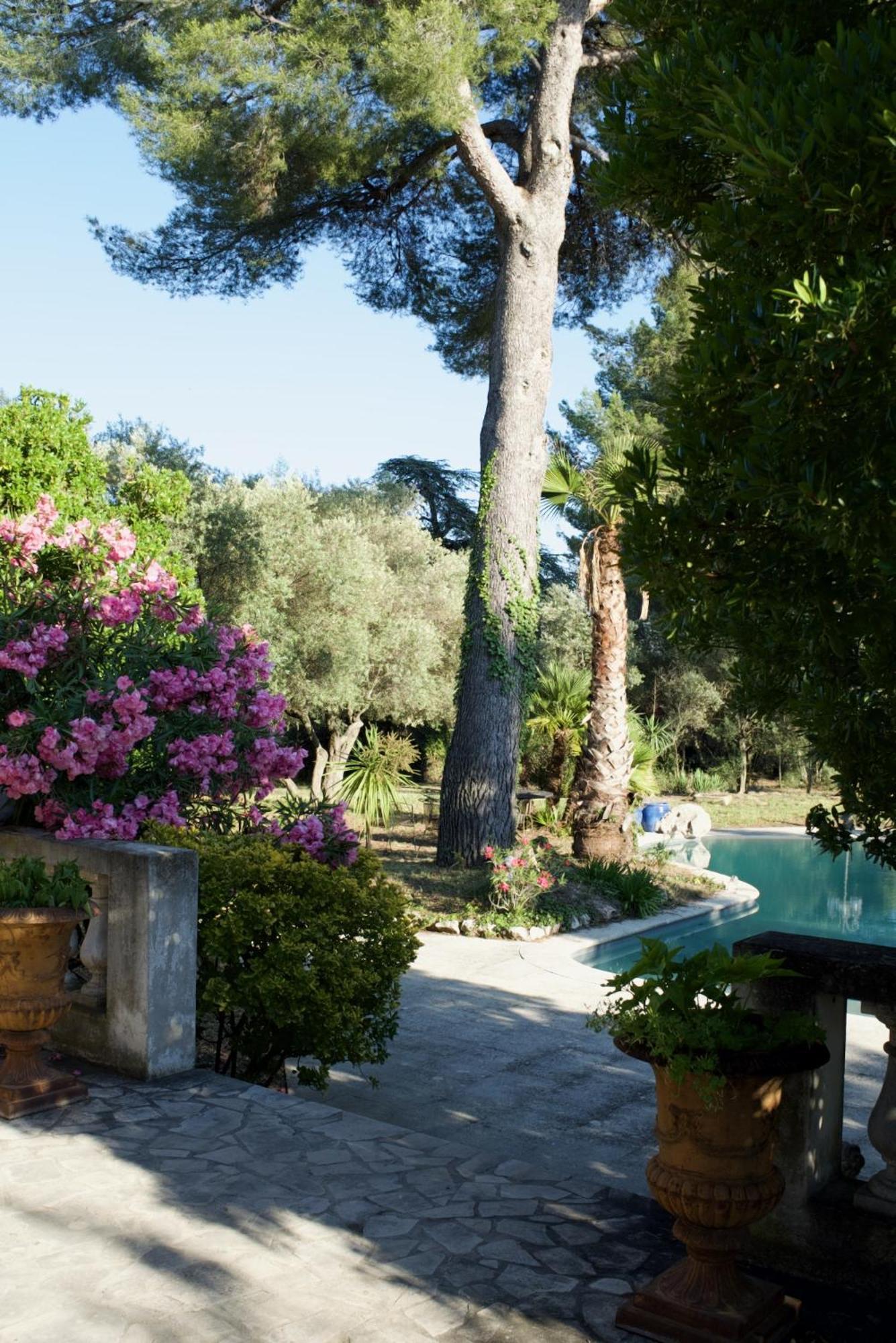 Villa Grand Cedre