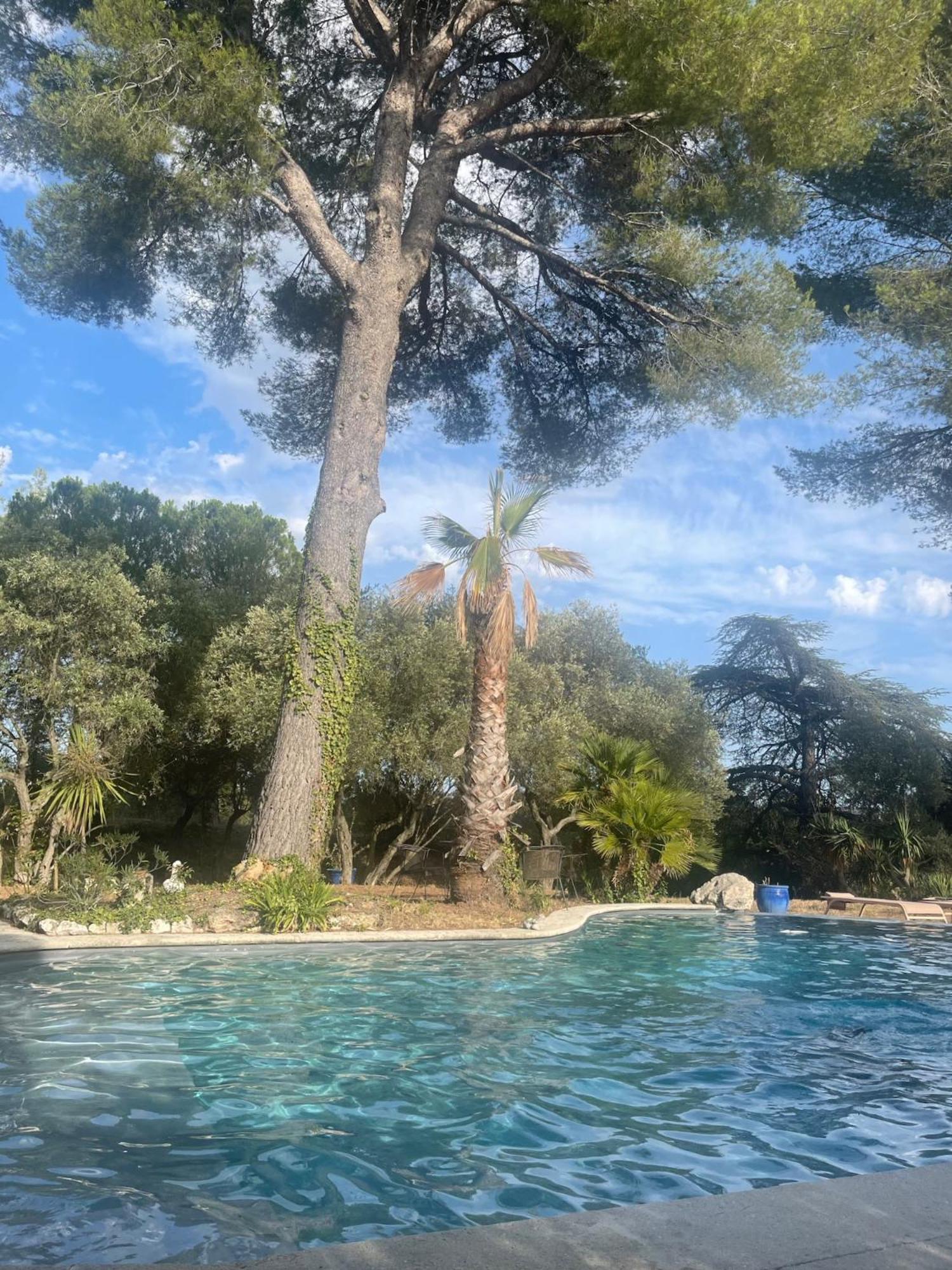 Grand Cedre Villa