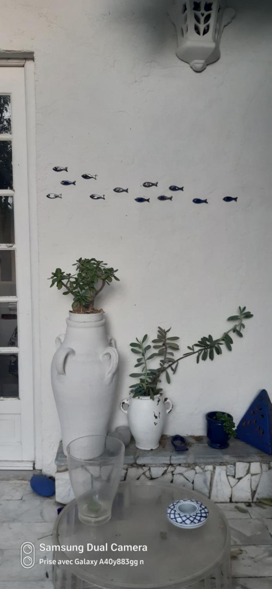 Maison Et Terrasse Dans Le Jardin Du Chateau De Gaillard Сasa de vacaciones