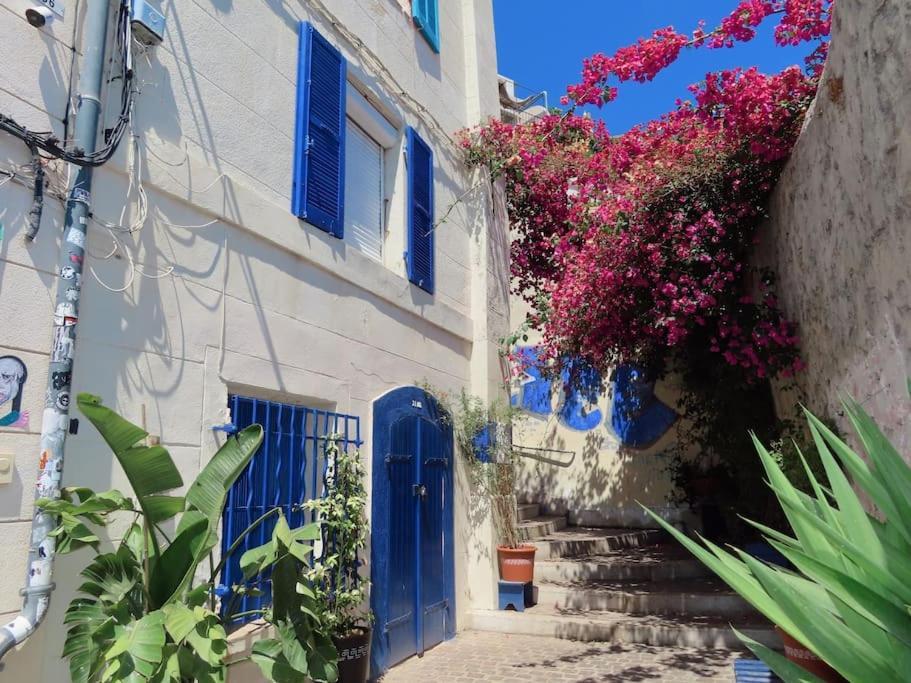 Ancien Salomon Xvie Siecle Marseilles