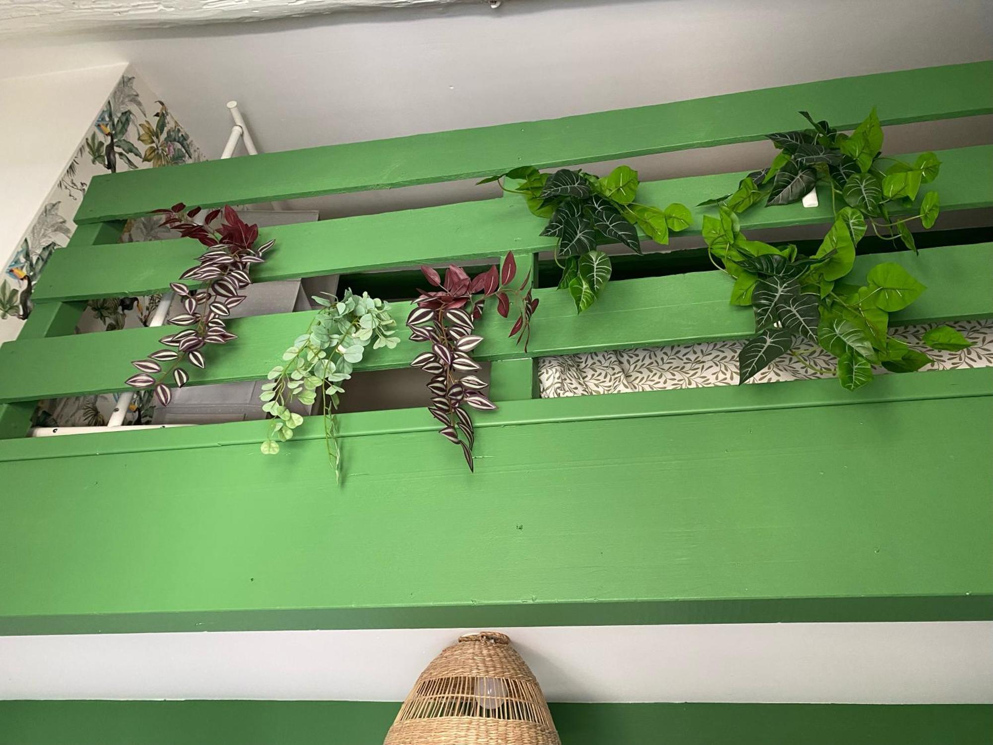 Amazonia Căn hộ *