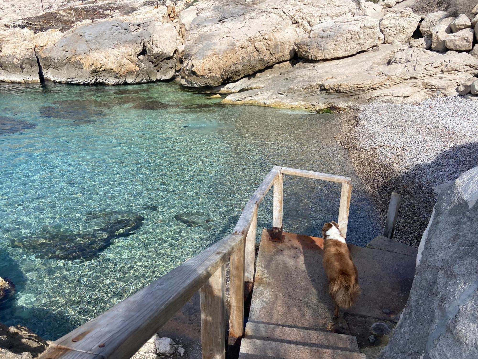 Calanque De Samena Apartamento Marsella