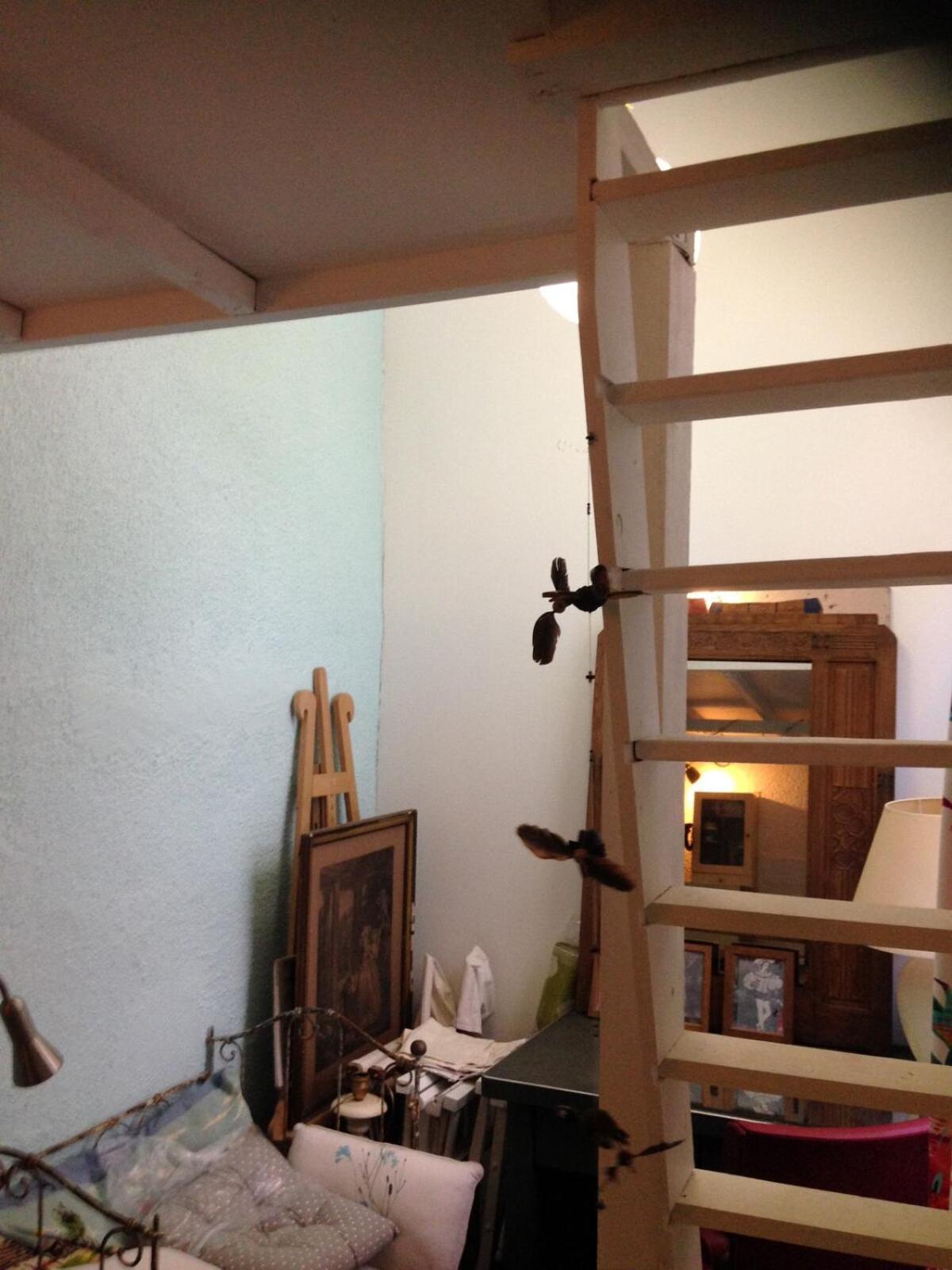Pleasant 120 M2 Duplex, Garden, Quiet, South, Center Apartment