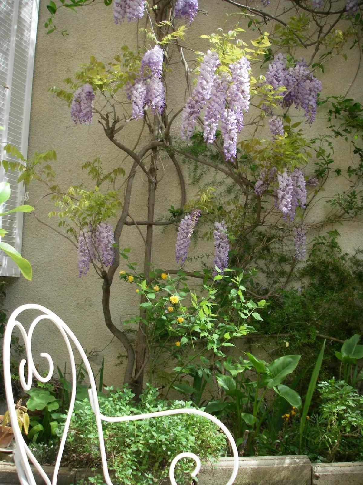 Pleasant 120 M2 Duplex, Garden, Quiet, South, Center *