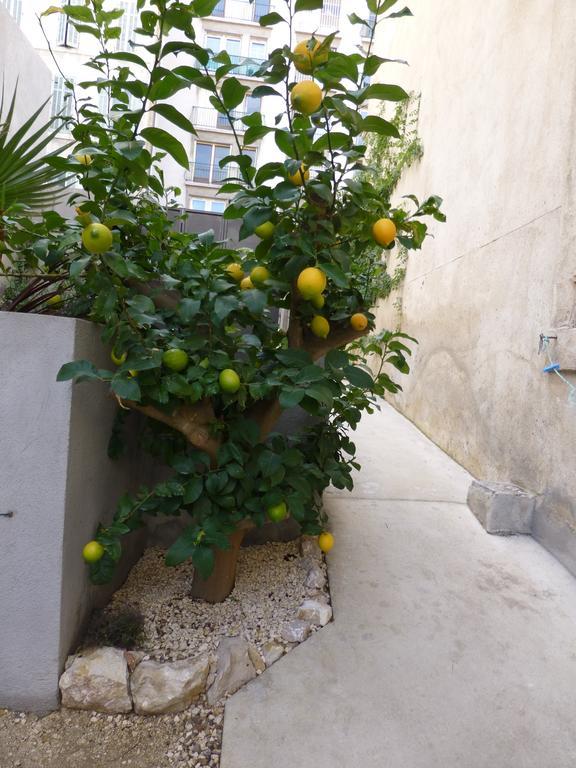 Casa de férias L'orangeraie Et La Palmeraie D'endoume Marselha
