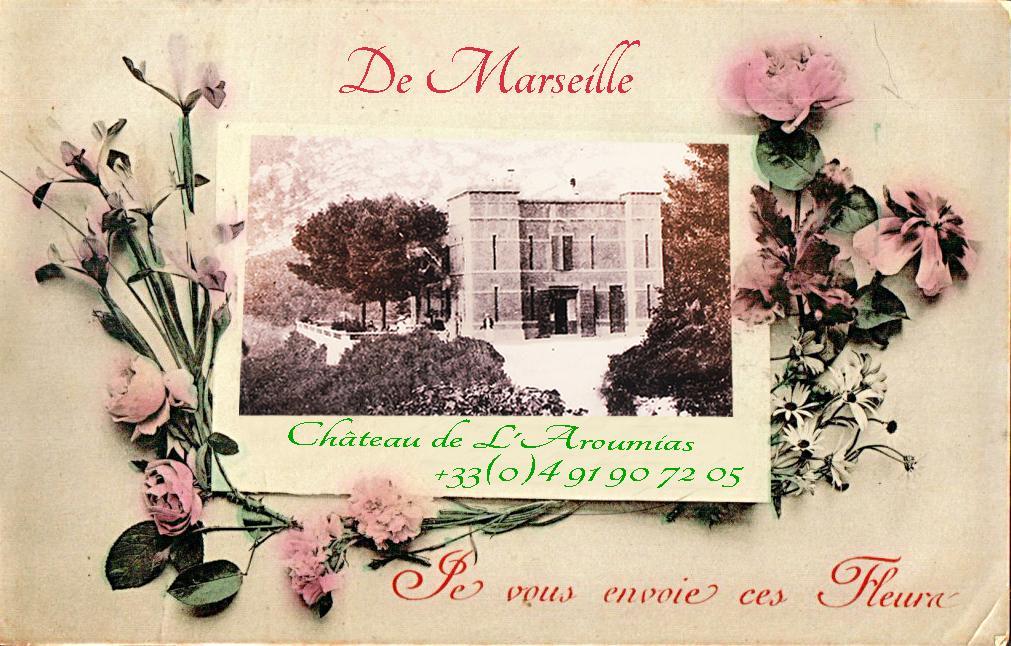 Bed & Breakfast Chateau De L'aroumias *