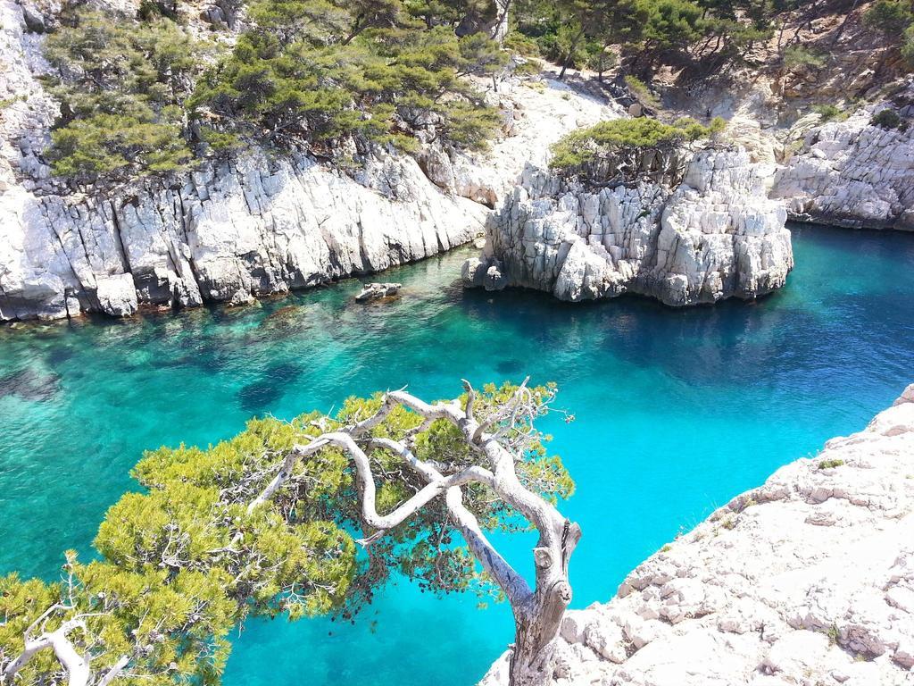 Frühstückspension La Palmeraie 5*