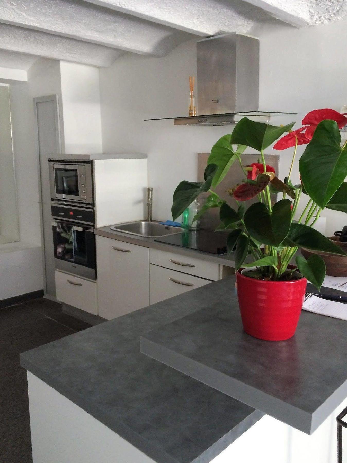 Un Duplex au Panier