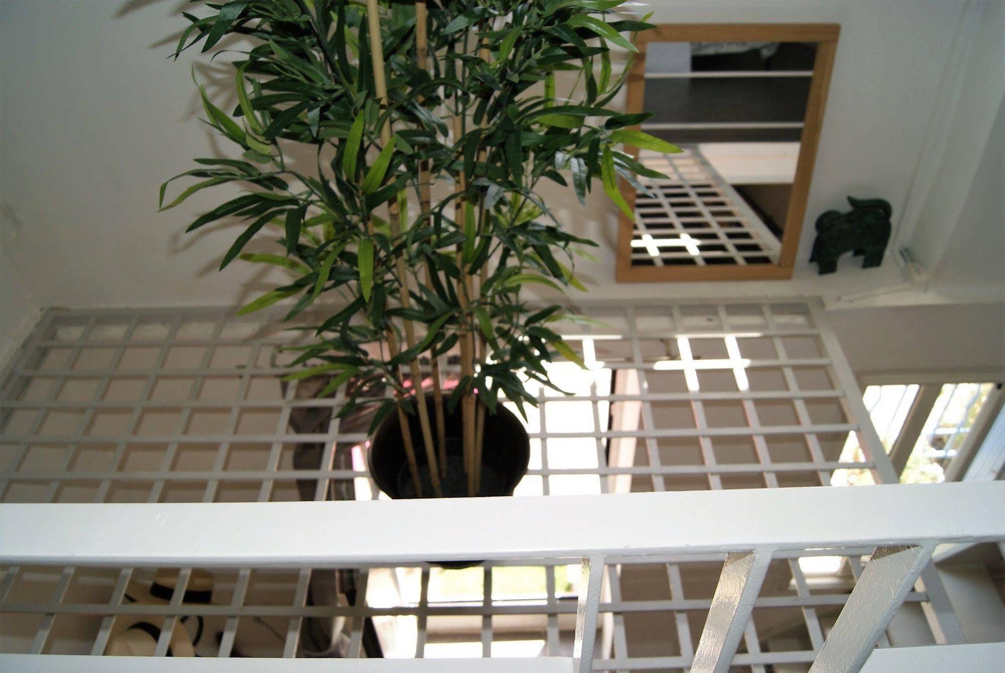Un Duplex au Panier Appartement *