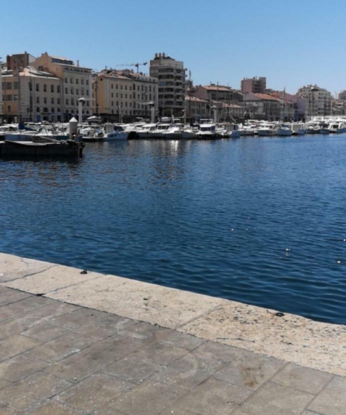 L'appart Du Vieux Port Apartment